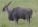 Eland