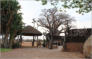 Tusks and Tracks Africa. Hunting South Africa